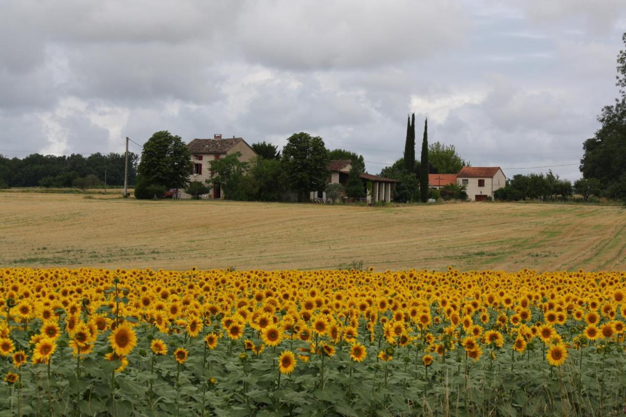 Bed and Breakfast Domaine 3 Soleils Labastide-de-Lévis Zewnętrze zdjęcie